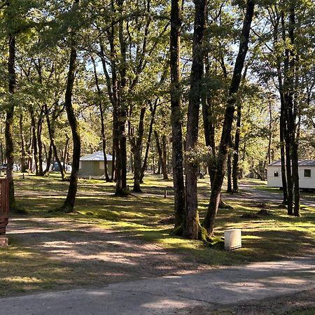Camping Les Petites Minaudieres Coussay-les-Bois Екстер'єр фото